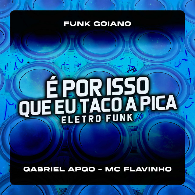 'É por Isso Que Eu Taco a Pica Eletro Funk' cover art