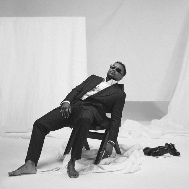 'P.I.C. (Partner In Crime)' cover art