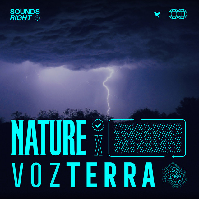 'Andean Serene Thunderstorms' cover art
