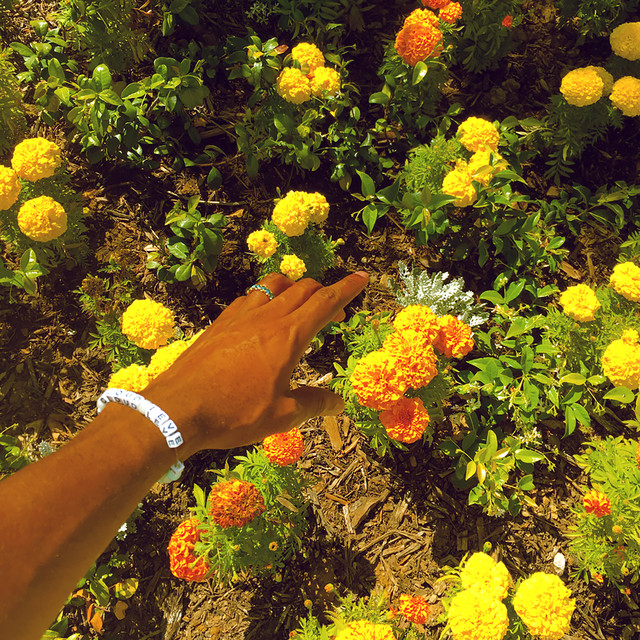 'Peach Fuzz' cover art