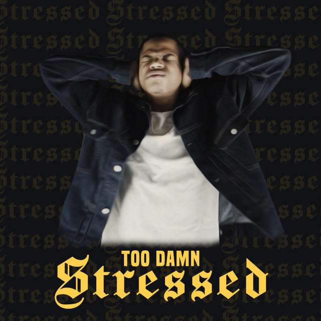 'Too Damn Stressed' cover art