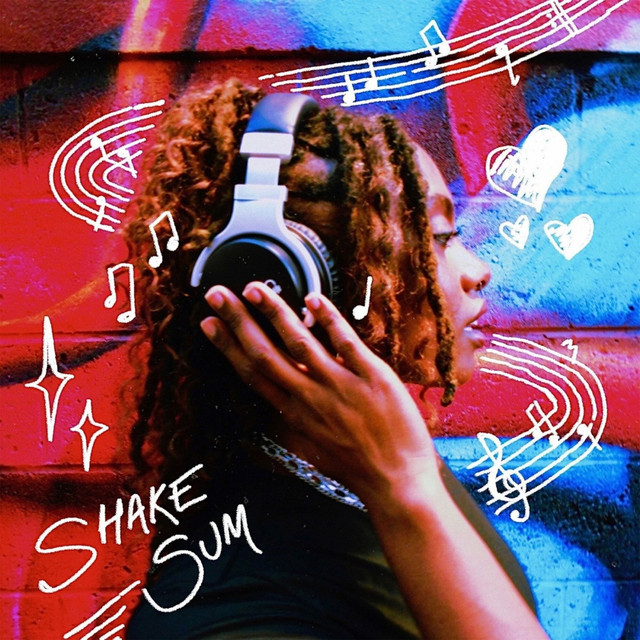 'Shake Sum' cover art