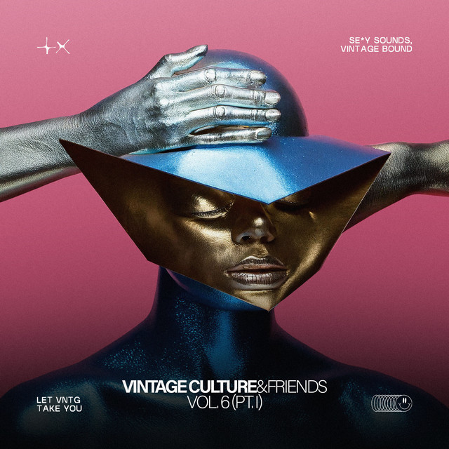 'Vintage Culture & Friends, Vol. 6 (Pt. I)' cover art