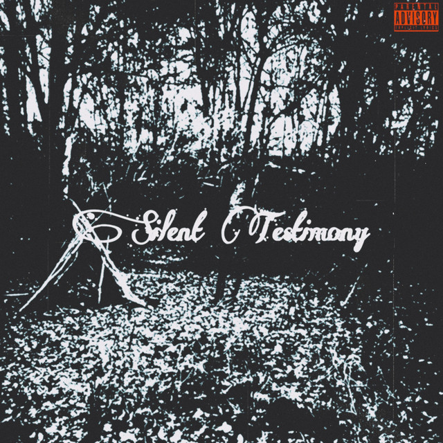 'Silent Testimony' cover art