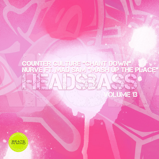 'HEADSBASS VOLUME 13 - PART THREE' cover art