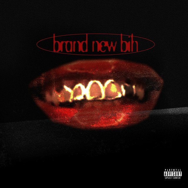 'BRAND NEW BIH' cover art