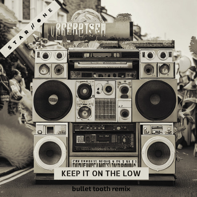 'Keep It On The Low (bullet tooth Remix)' cover art
