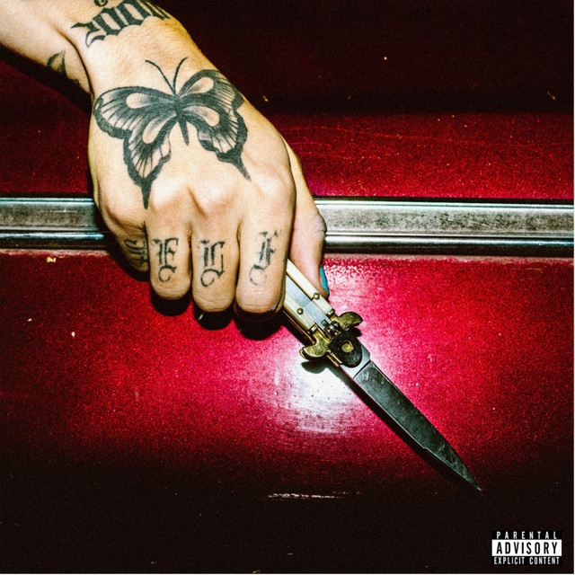 'Wild Ones' cover art