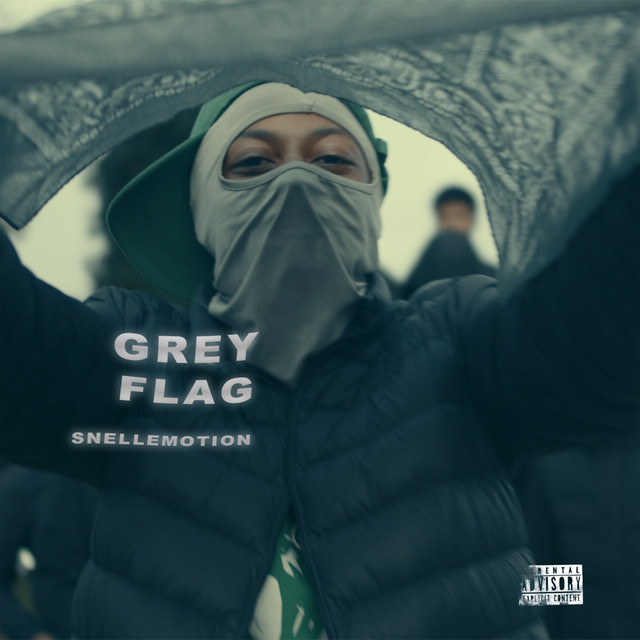 'Grey Flag' cover art