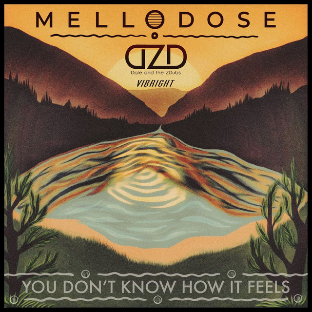 'You Don't Know How It Feels' cover art