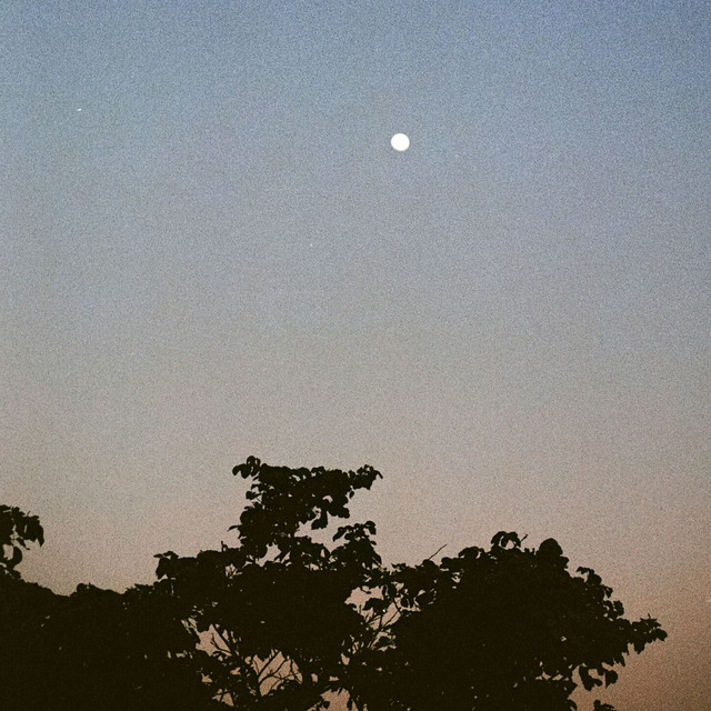 'not hiding from you' cover art
