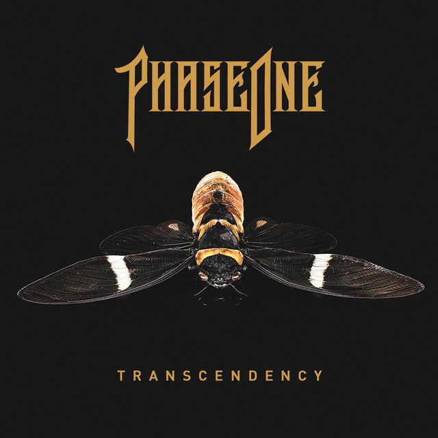 'TRANSCENDENCY' cover art