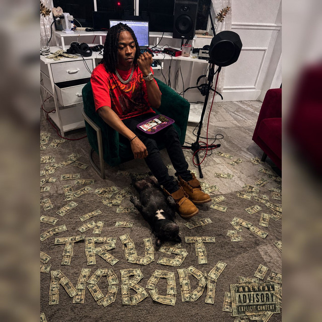 'Trust Nobody' cover art