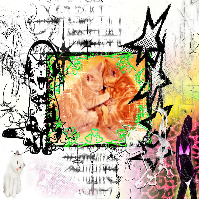 'gatacongato' cover art