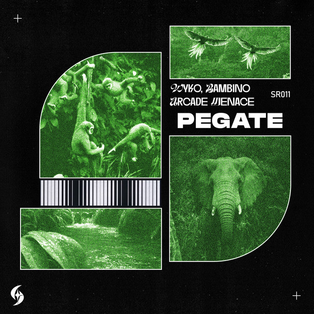 'Pegate' cover art