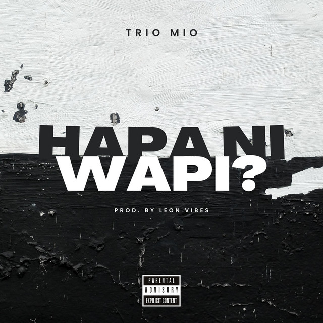 'Hapa ni Wapi?' cover art