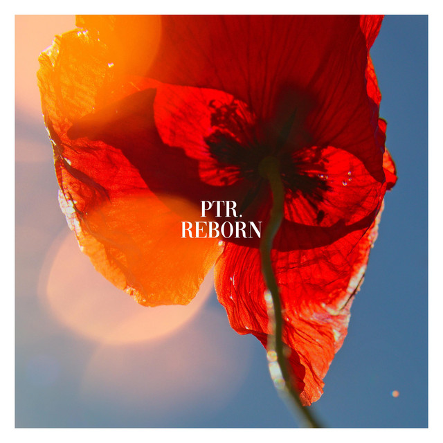 'Reborn' cover art