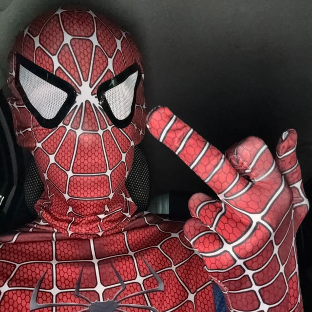 'spiderman' cover art