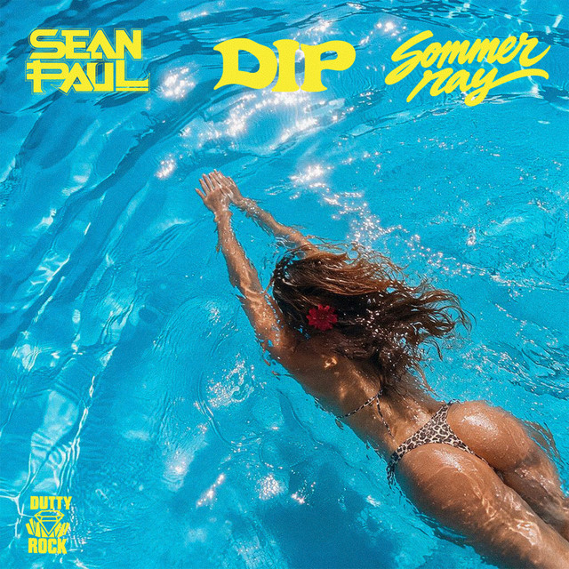 'DIP' cover art