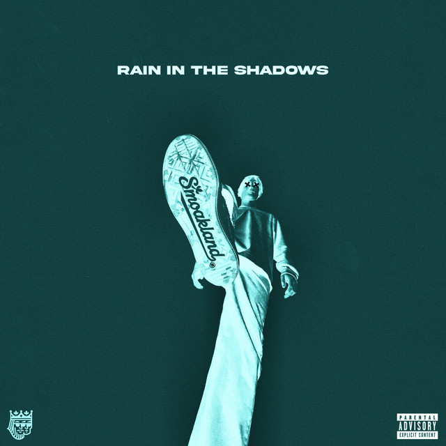 'Rain In The Shadows' cover art