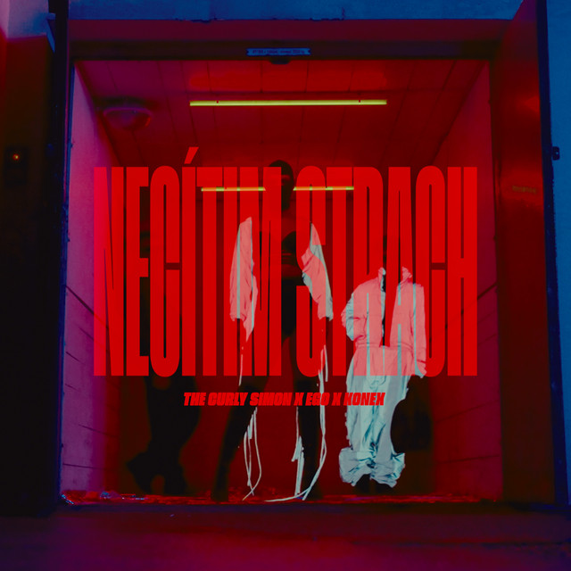 'NECÍTIM STRACH' cover art