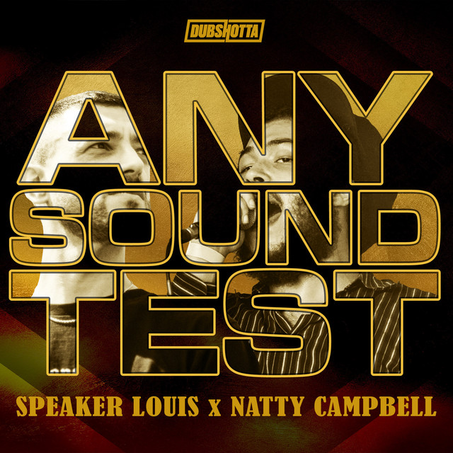 'Any Sound Test' cover art
