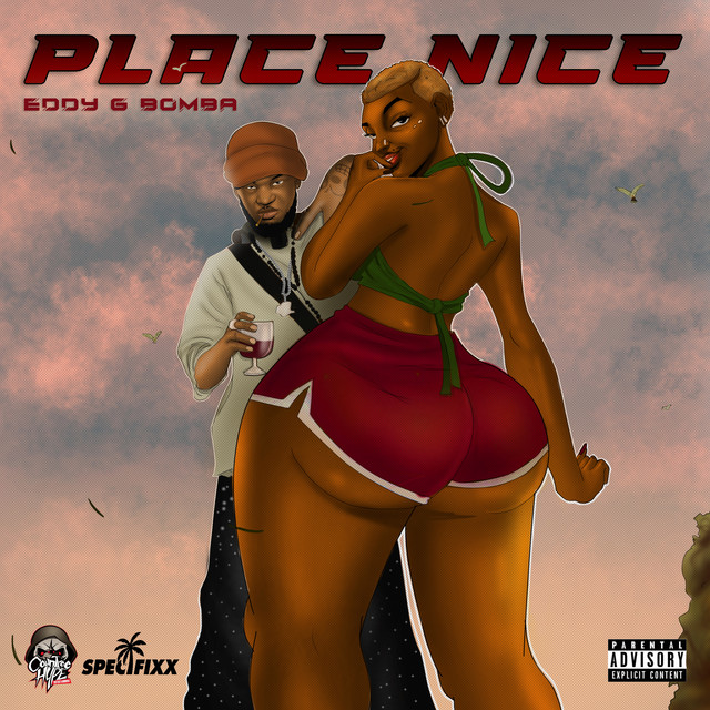 'Place Nice' cover art