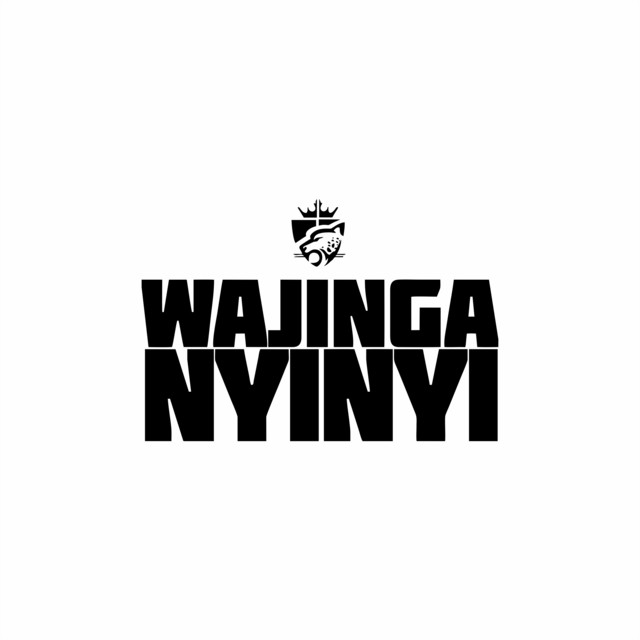 'Wajinga Nyinyi' cover art