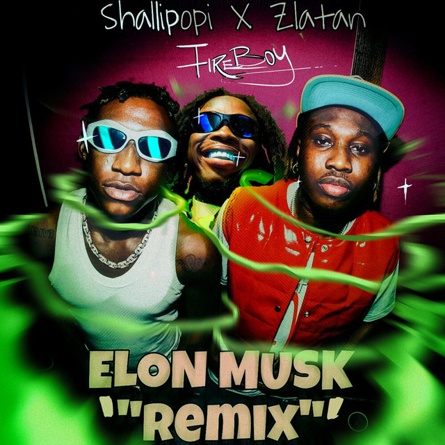 'Elon Musk (Remix)' cover art