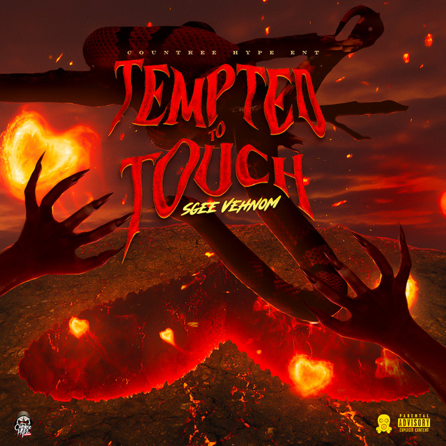 'Tempted to Touch' cover art