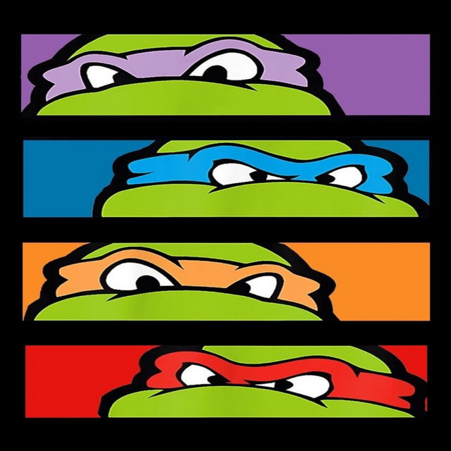 'teenage mutant ninja turtles' cover art