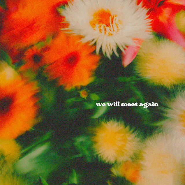 'We Will Meet Again' cover art