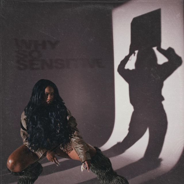 'WHY SO SENSITIVE?' cover art