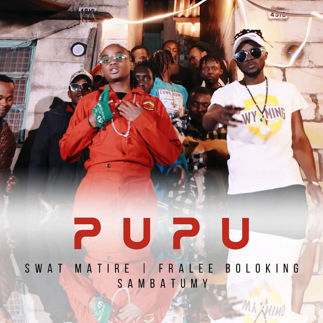 'Pupu' cover art