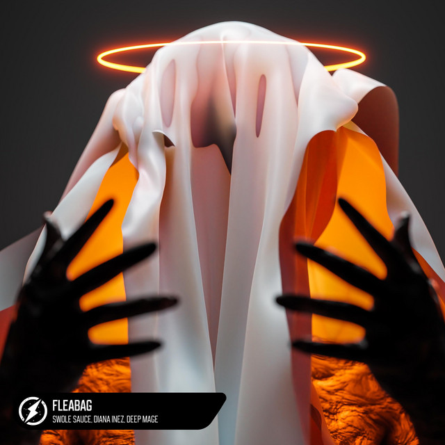 'Fleabag' cover art