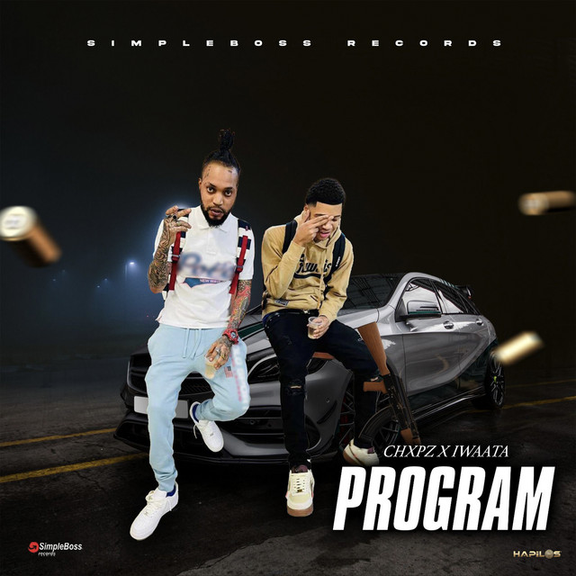 'Program' cover art