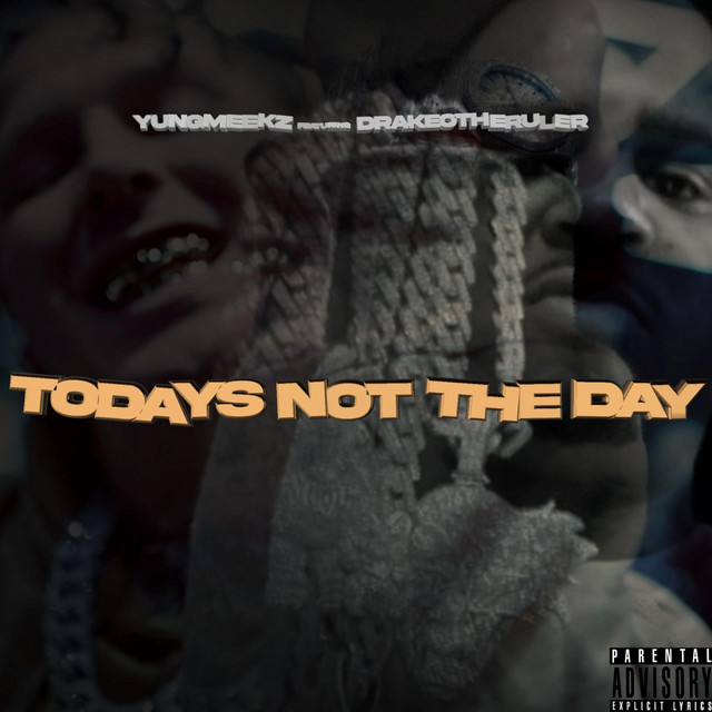 'Todays Not The Day' cover art