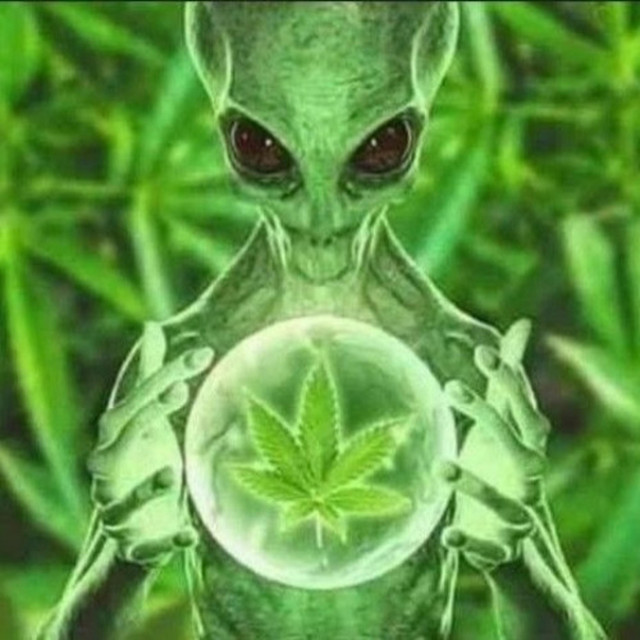 'idc (oscat mix)' cover art