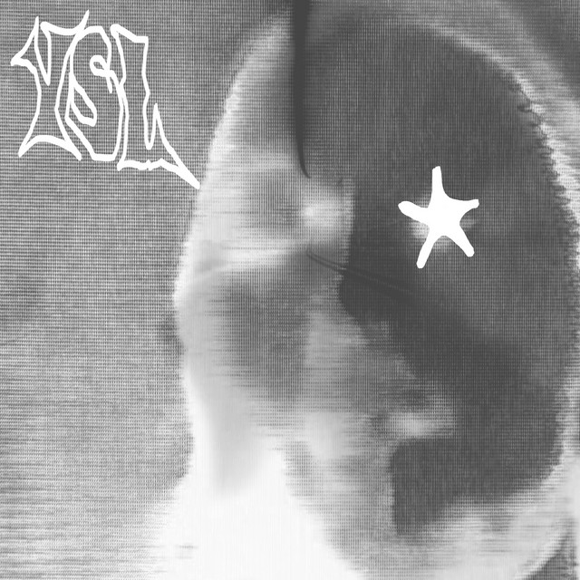 'YSL' cover art