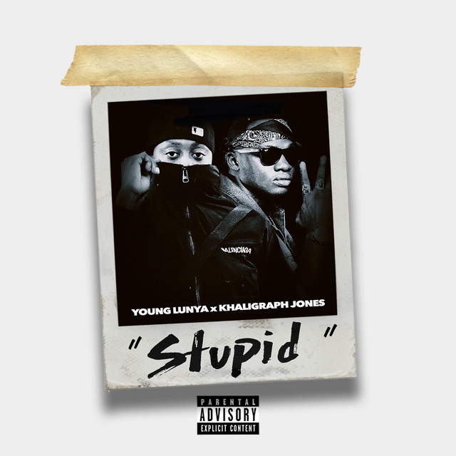 'Stupid' cover art