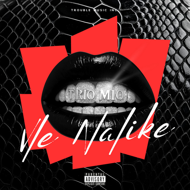 'Vle Nalike' cover art