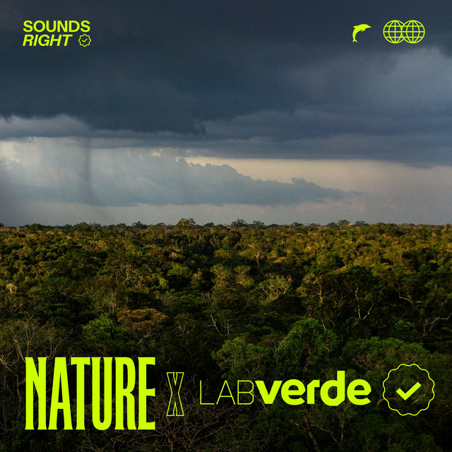 'Flying Rivers: Rains in Amazônia' cover art