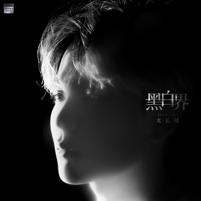 '黑白界' cover art