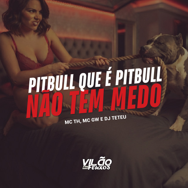 'Pitbull Que É Pitbull Não Tem Medo' cover art