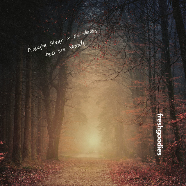 'Into The Woods' cover art