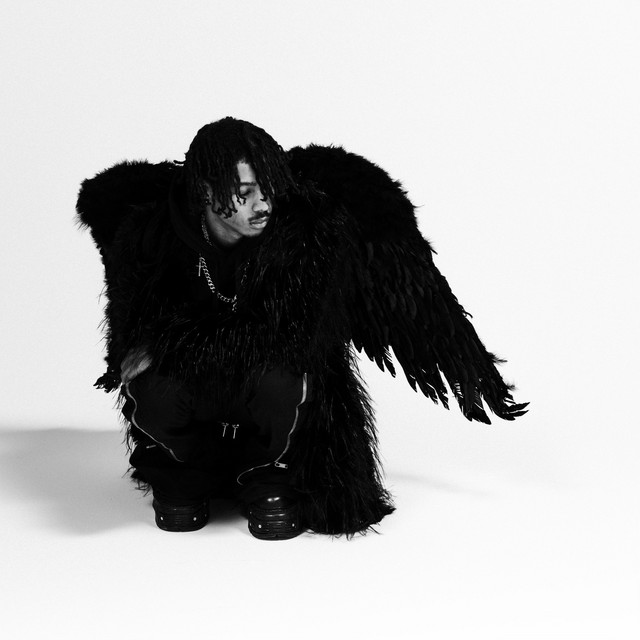 Tim Henson - Official Artist Photo