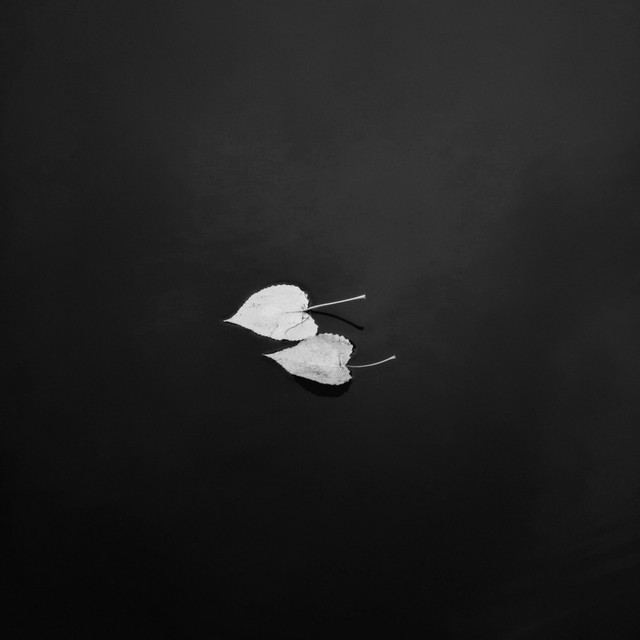 'Can I Love You' cover art