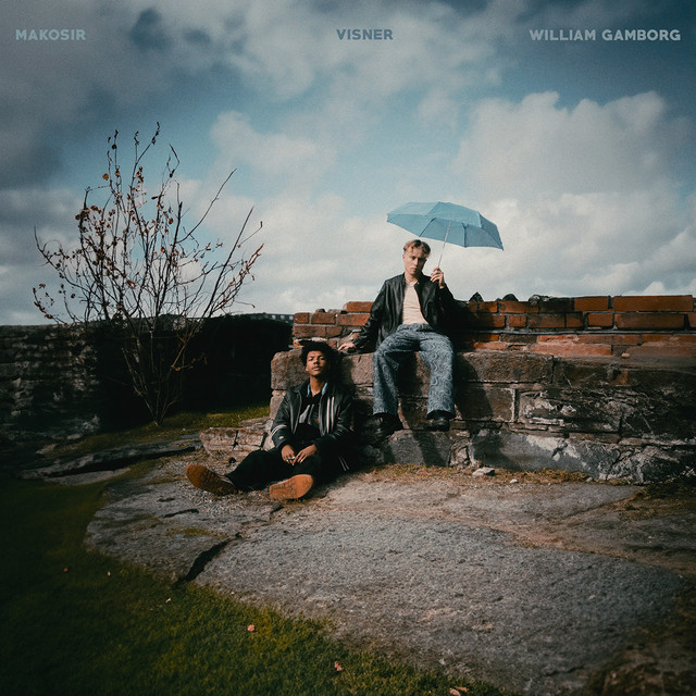 'Visner' cover art