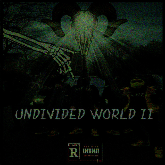 'UNDIVIDED WORLD II' cover art