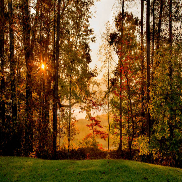 'COUNTRYSIDE' cover art